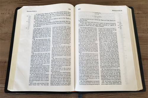 English New Testament Recovery Version