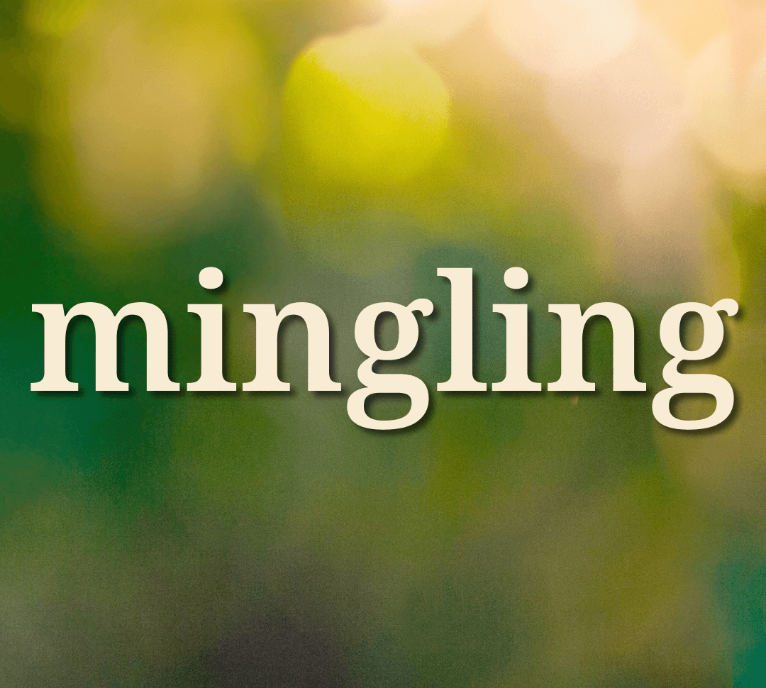 Biblical and Ministry Words That We Love: Mingling