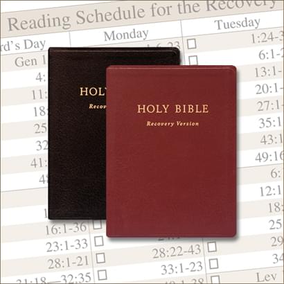Recovery Version Bibles with schedule in background