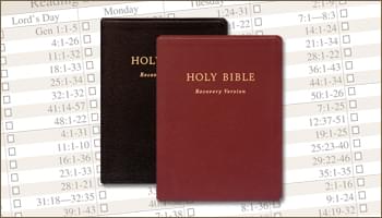 Recovery Version Bibles (image)